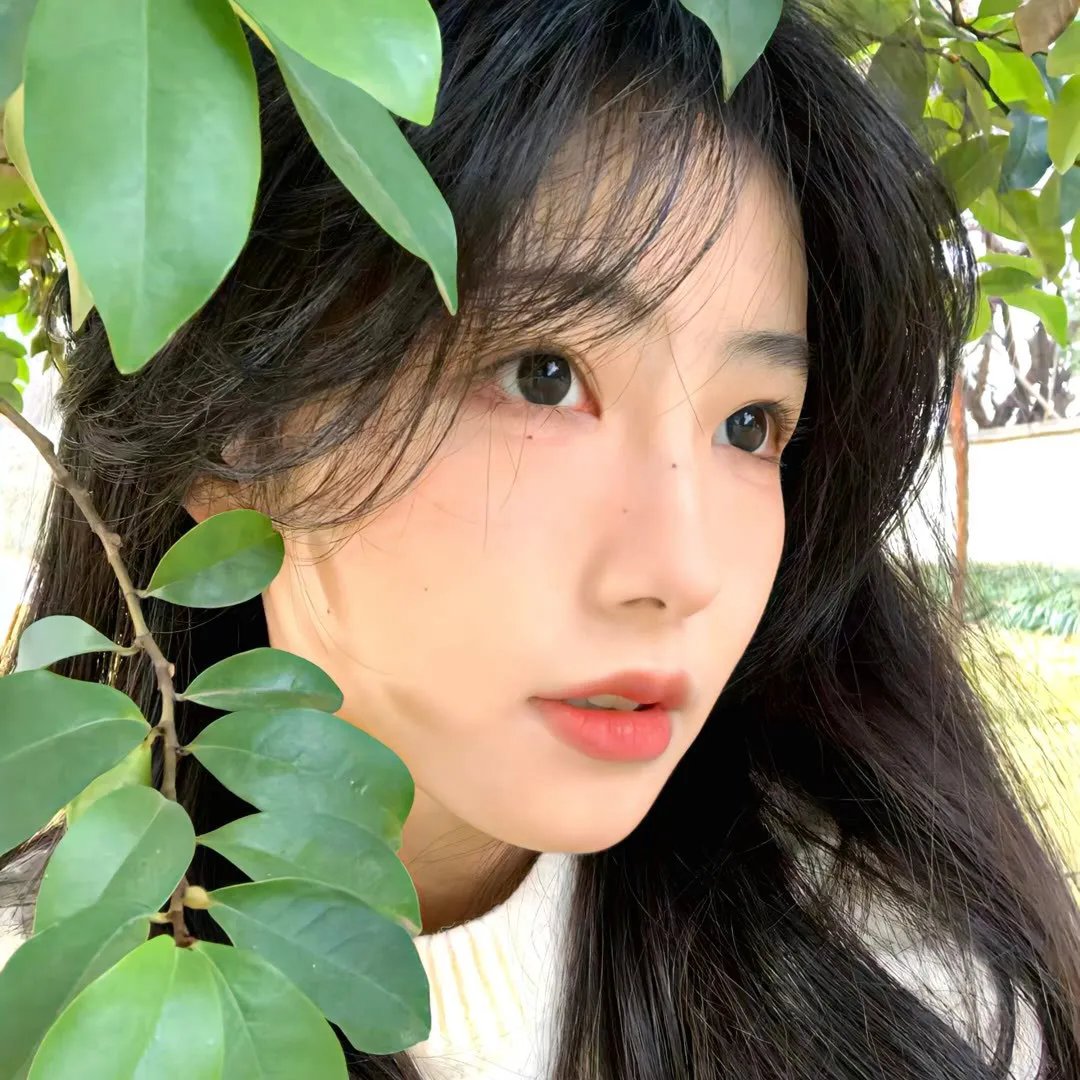 最后的小站